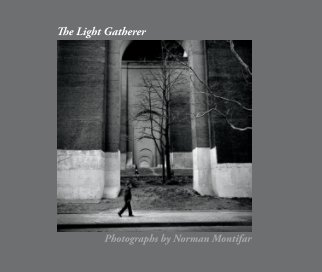 The Light Gatherer book cover