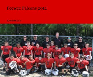 Peewee Falcons 2012 book cover