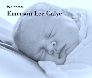 Welcome  
Emerson Lee Galye book cover