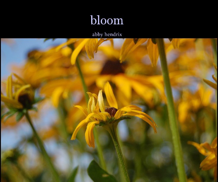 View bloom by Abby Hendrix