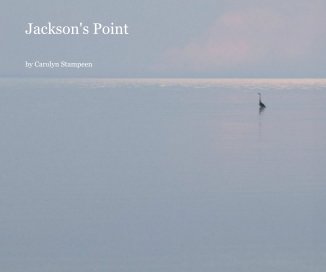 Jackson's Point book cover