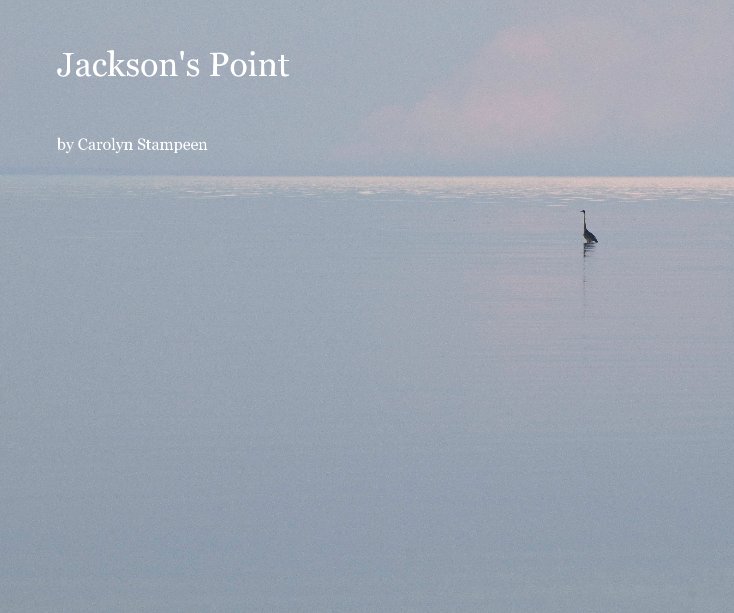 View Jackson's Point by Carolyn Stampeen