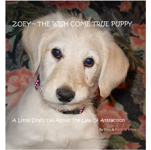 Bekijk ZOEY ~ THE WISH COME TRUE PUPPY op Zoey & Patricia Wiley
