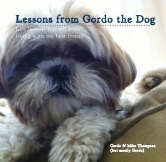 Lessons from Gordo the Dog book cover