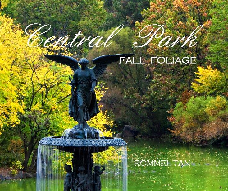 View Central Park: Fall Foliage by Rommel Tan
