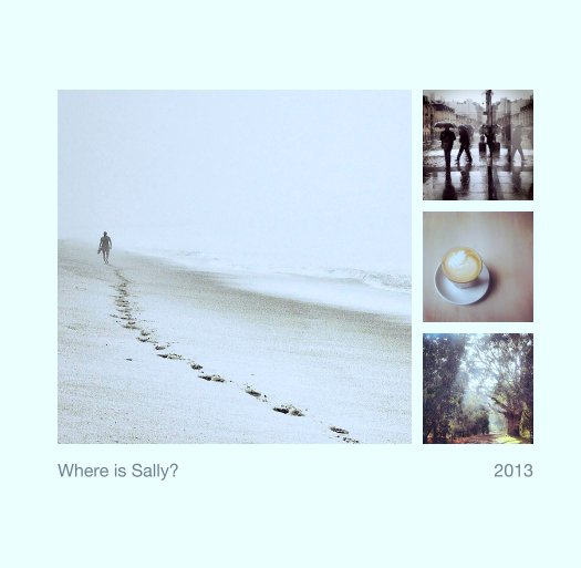 Ver Where is Sally?                                                                2013 por Sally Sargood