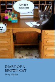 DIARY OF A
BROWN CAT book cover