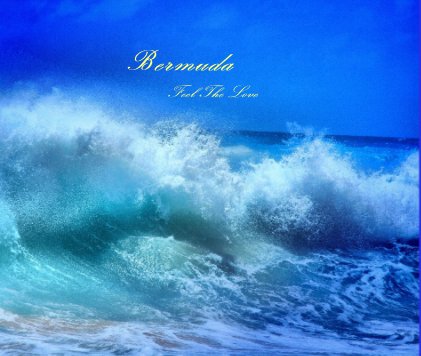 Bermuda Feel The Love book cover