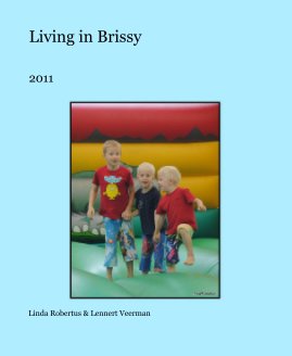 Living in Brissy book cover