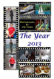 The Year 2013 book cover