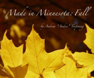 Made in Minnesota: Fall book cover