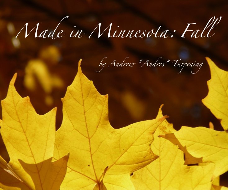 View Made in Minnesota: Fall by Andrew "Andres" Turpening