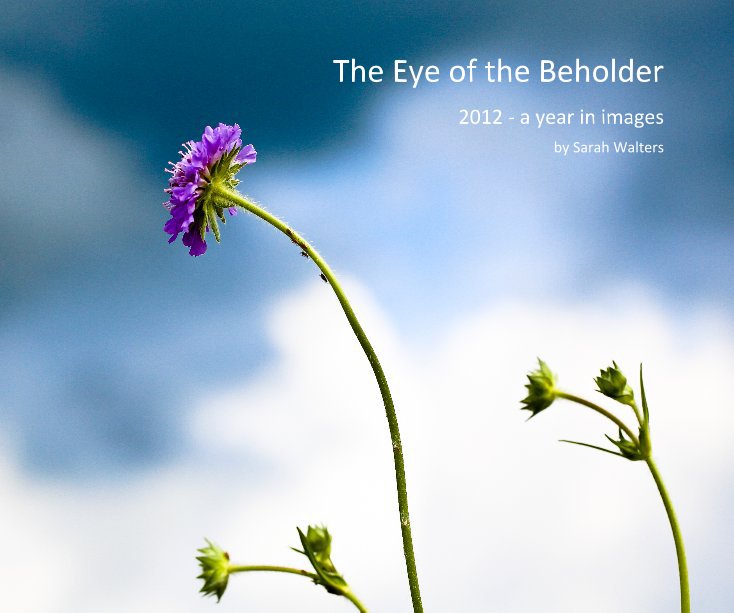 View The Eye of the Beholder by Sarah Walters