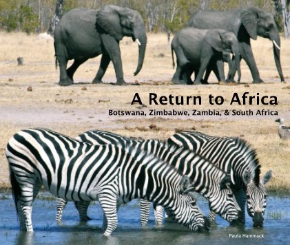 A Return to Africa Botswana, Zimbabwe, Zambia, & South Africa book cover
