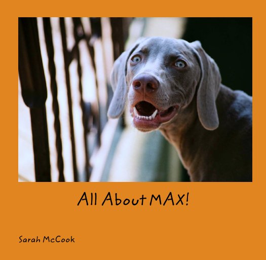 View All About MAX! by Sarah McCook