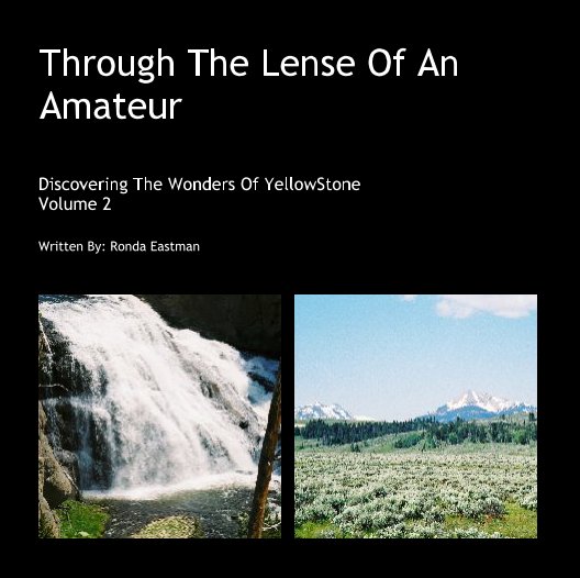 View Through The Lense Of An Amateur by Ronda Eastman