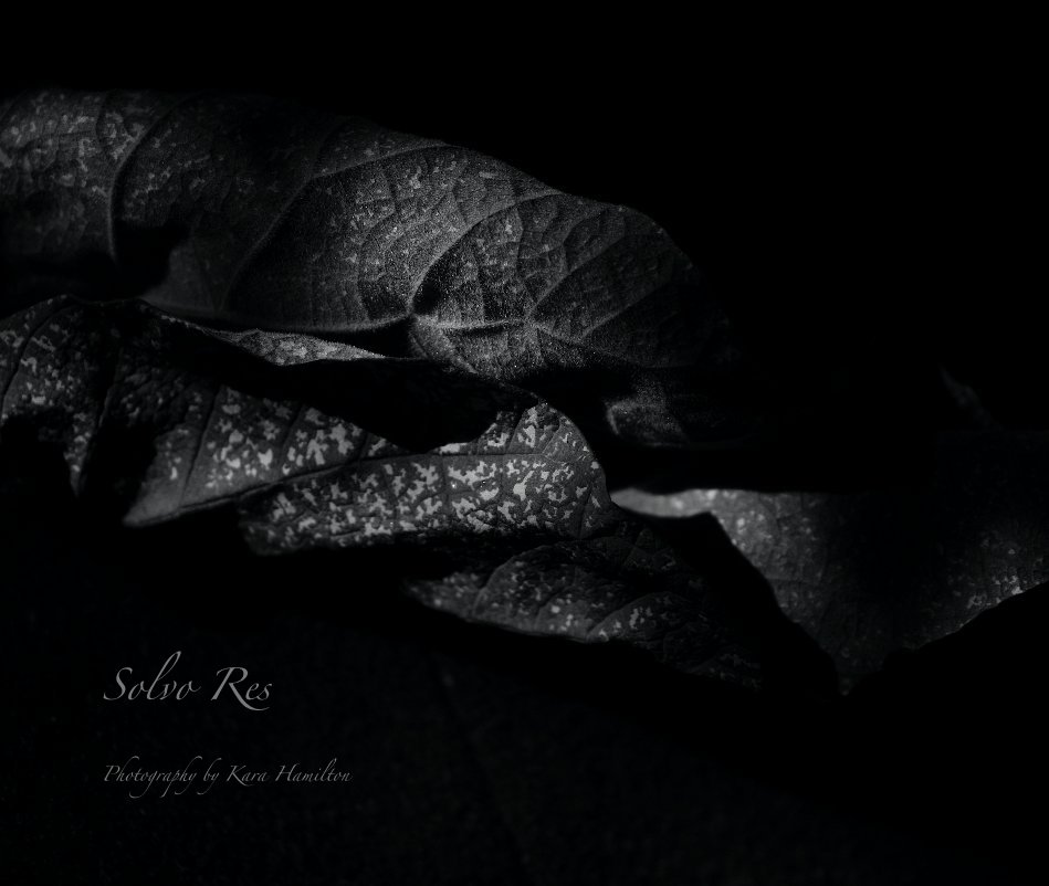 View Solvo Res by Photography by Kara Hamilton