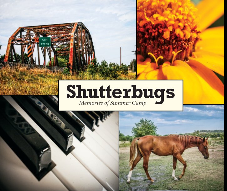 View Shutterbugs by Sherry L. Stinson
