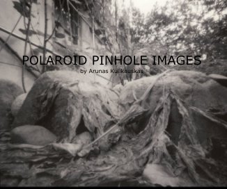POLAROID PINHOLE IMAGES book cover
