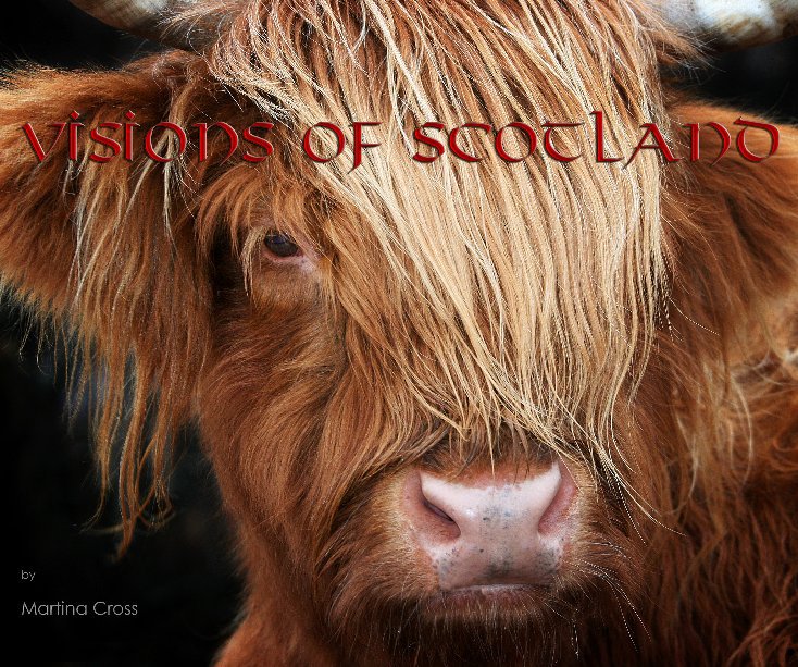 Visualizza Visions of Scotland di Martina Cross