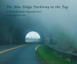 The Blue Ridge Parkway in the Fog book cover