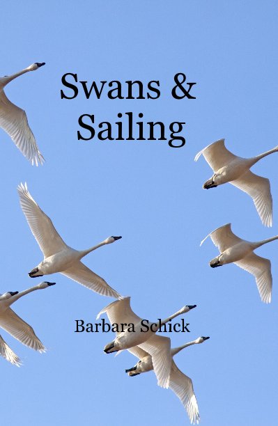 View Swans & Sailing by Barbara Schick