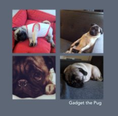 Gadget the Pug book cover