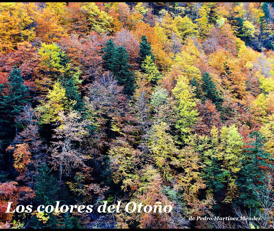 View Los colores del Otoño by de Pedro Martínez Méndez