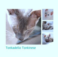 Tonkadello Tonkinese book cover