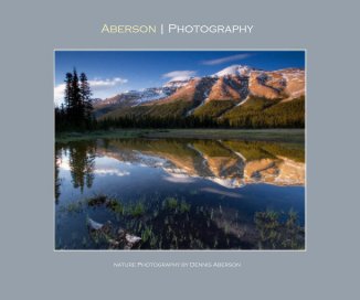 Aberson | Photography Nature Photography by Dennis Aberson book cover