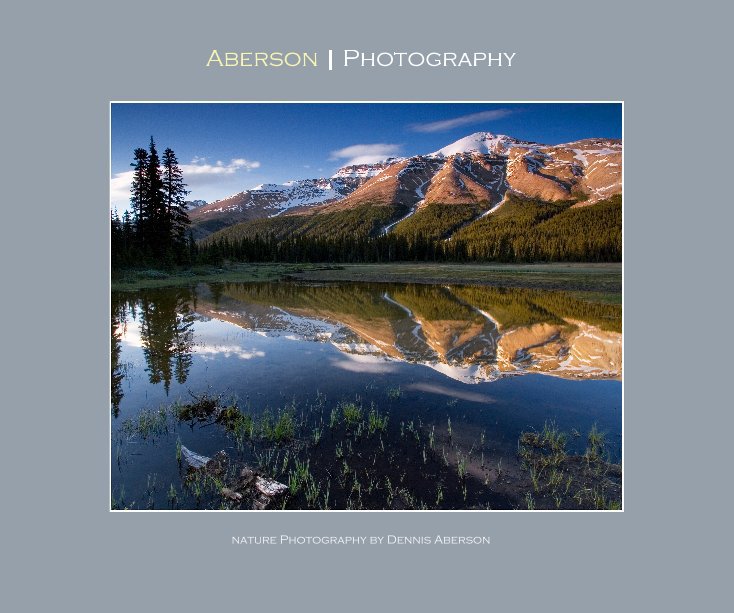 View Aberson | Photography Nature Photography by Dennis Aberson by Dennis Aberson