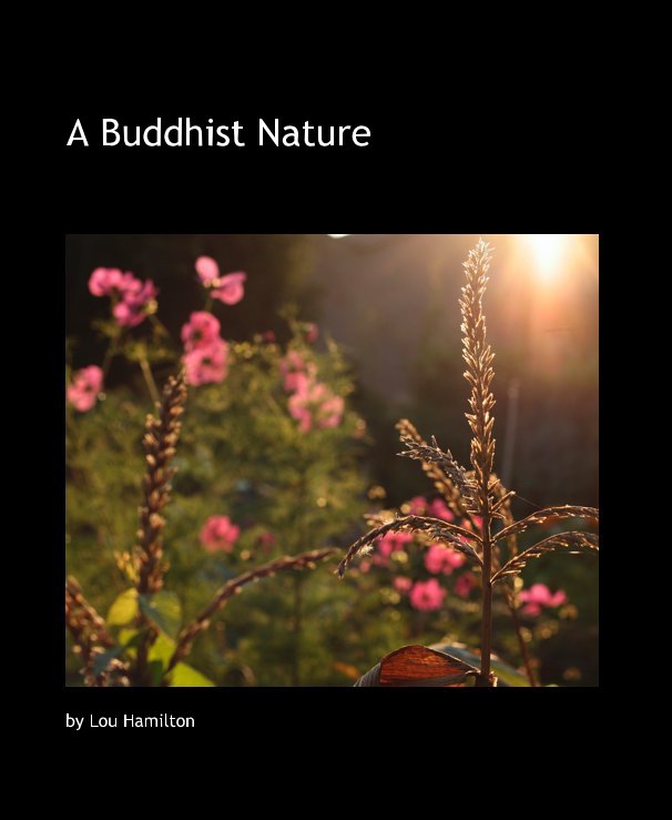 View A Buddhist Nature by Lou Hamilton