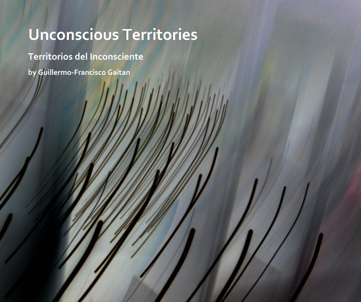 View Unconscious Territories by Guillermo-Francisco Gaitan