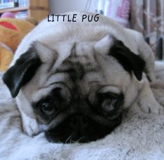 LITTLE  PUG book cover