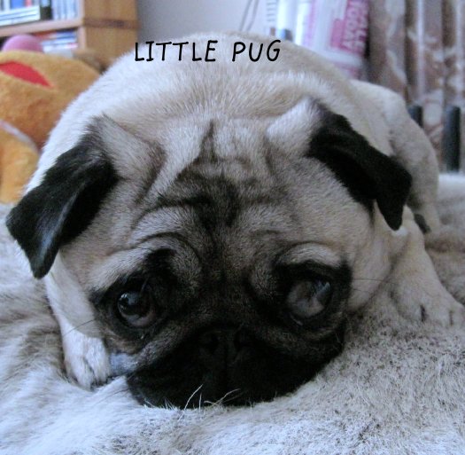 View LITTLE  PUG by Charlotte