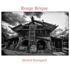Rouge Brique book cover