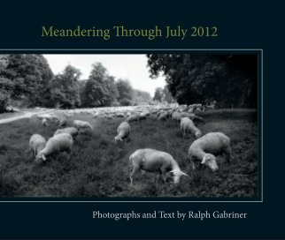 Meandering Through July 2012 book cover