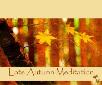 Late Autumn Meditation - Softcover Only book cover
