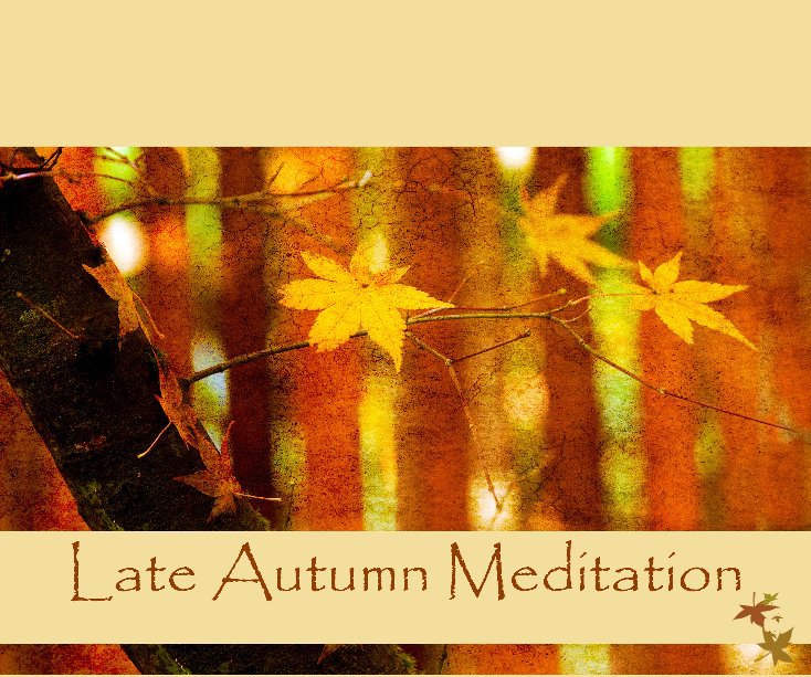 View Late Autumn Meditation - Softcover Only by Rebecca Cozart and Rita Cavin
