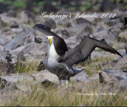 Galapagos Islands, 2012 Photography by Peter Palm book cover