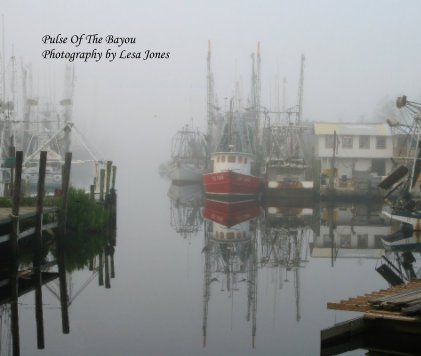 Pulse Of The Bayou Photography by Lesa Jones book cover
