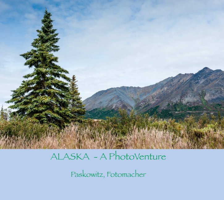 View Alaska by Paskowitz, JE