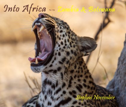 Into Africa -- Zambia & Botswana book cover