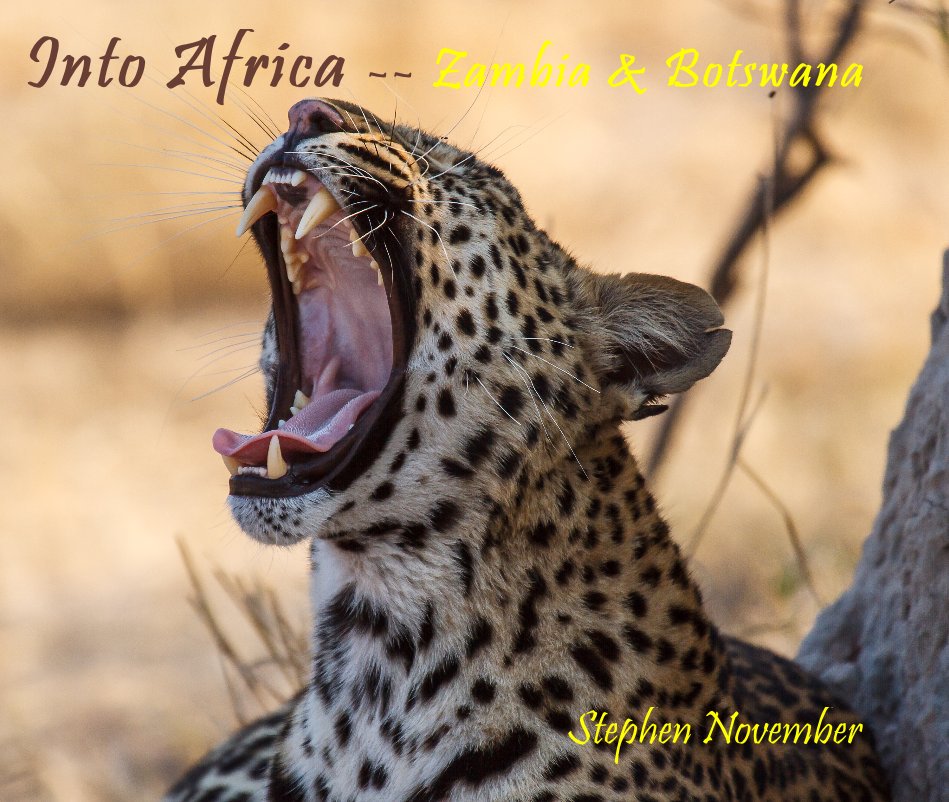 View Into Africa -- Zambia & Botswana by Stephen November
