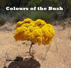 Colours of the Bush book cover