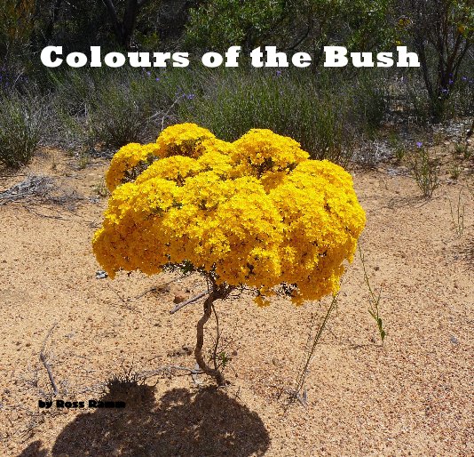 View Colours of the Bush by Ross Ramm