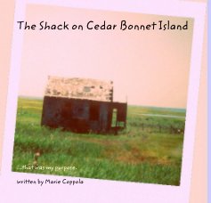The Shack on Cedar Bonnet Island book cover
