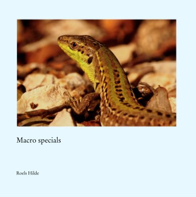 Macro specials book cover
