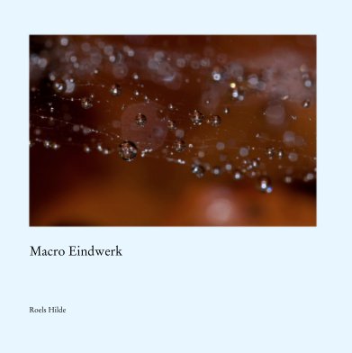 Macro Eindwerk book cover