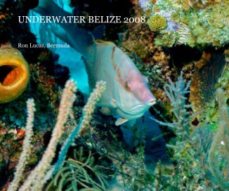 UNDERWATER BELIZE 2008 book cover